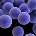 Novo Estudo Alerta Para Disseminação De Bactéria Resistente Fora De Hospitais