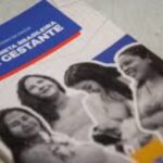 Caderneta Brasileira Da Gestante Ganha Versão Digital E Reforça Papel Do Enfermeiro No Cuidado Neonatal